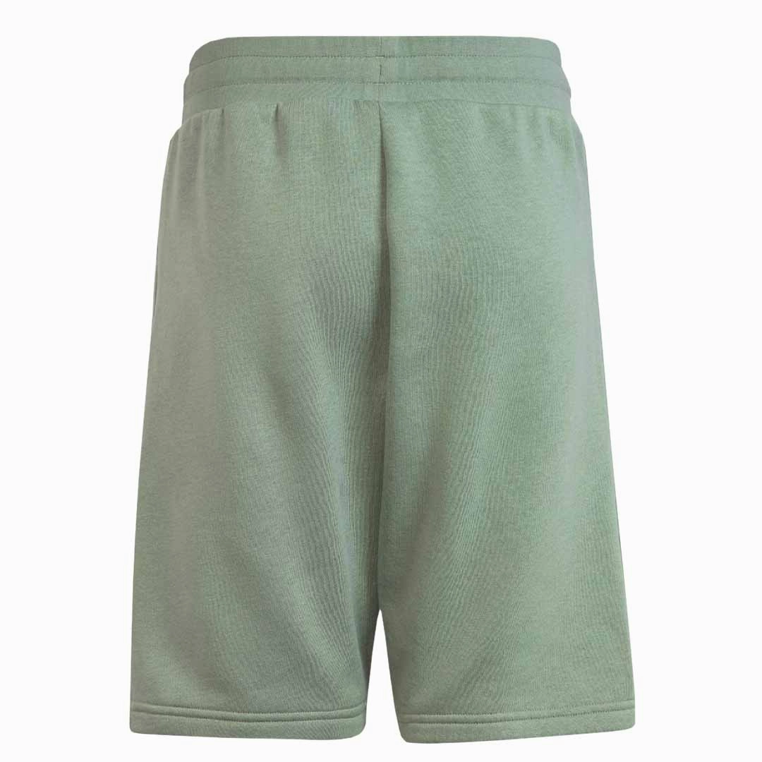 adidas - Kids' (Junior) Adicolor Shorts (IC3174)