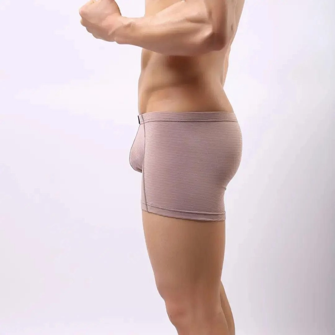 DomiGe Compression Boxers in Light Brown Male Underwear