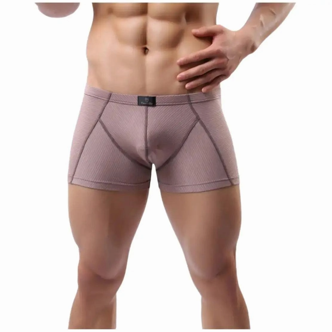 DomiGe Compression Boxers in Light Brown Male Underwear