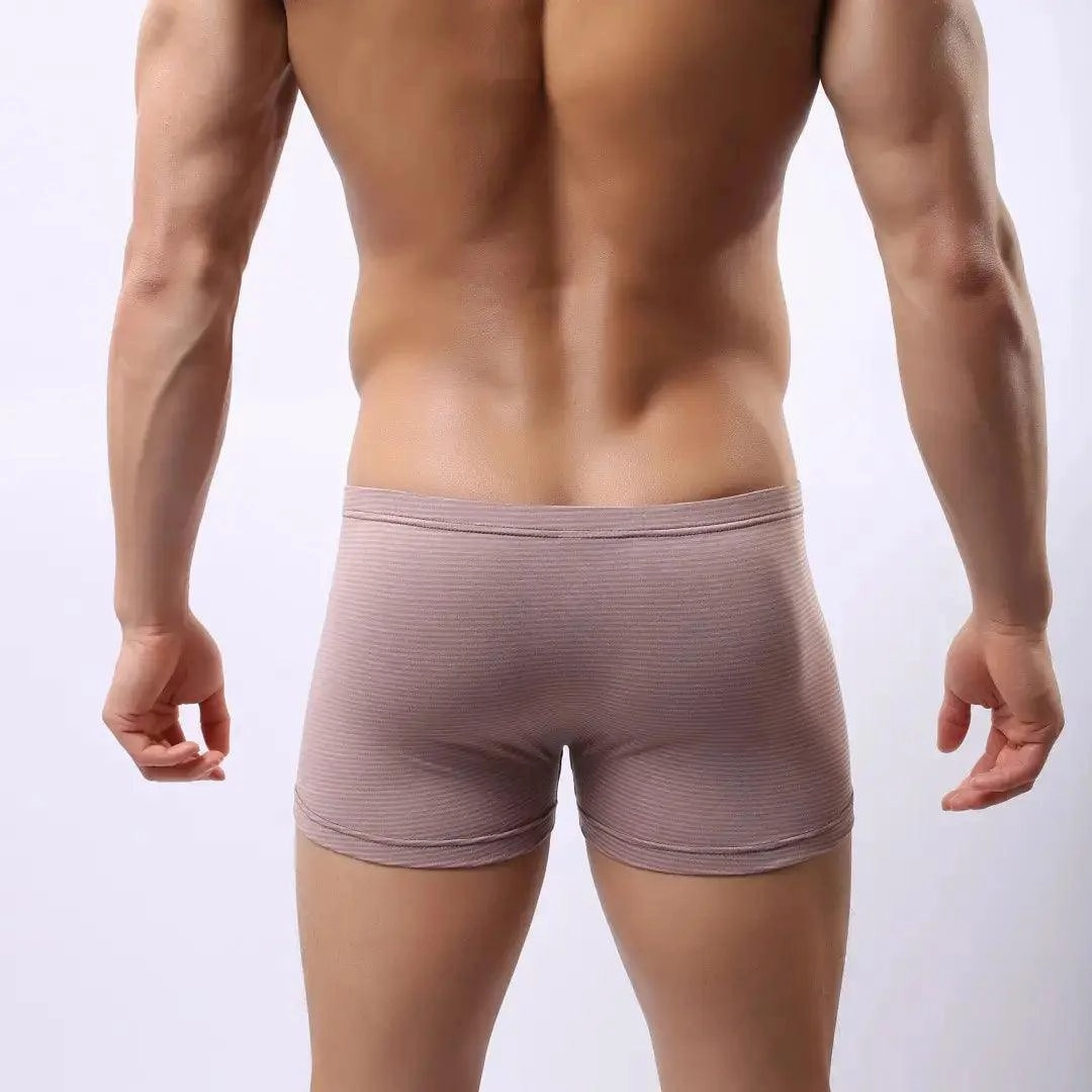DomiGe Compression Boxers in Light Brown Male Underwear