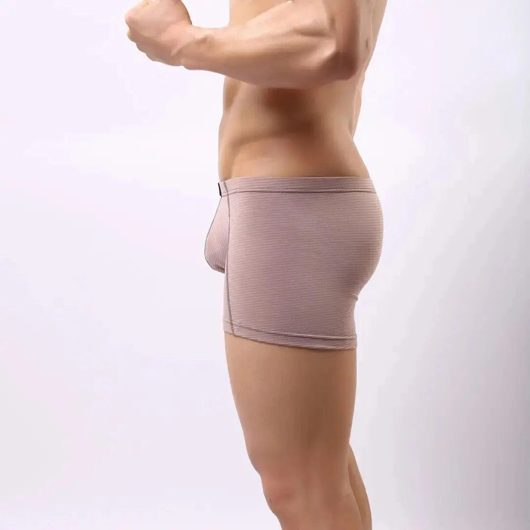 DomiGe Compression Boxers in Light Brown Male Underwear