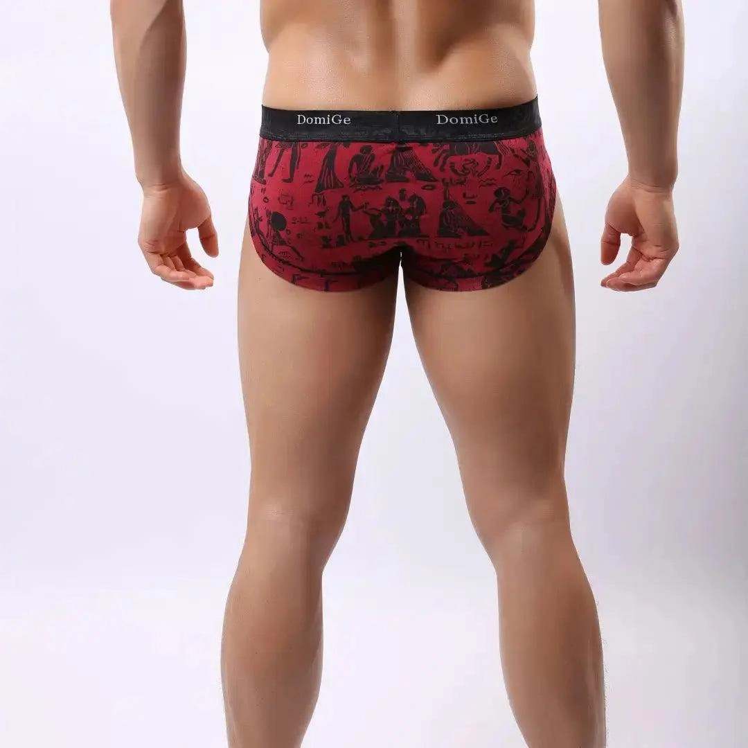 DomiGe Men's Bamber Trunks Briefs Moisture Management Underwear