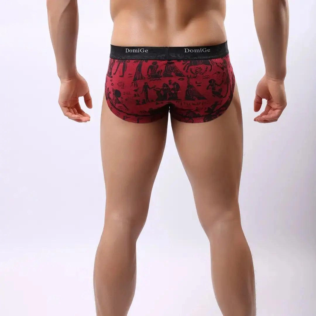 DomiGe Men's Bamber Trunks Briefs Moisture Management Underwear