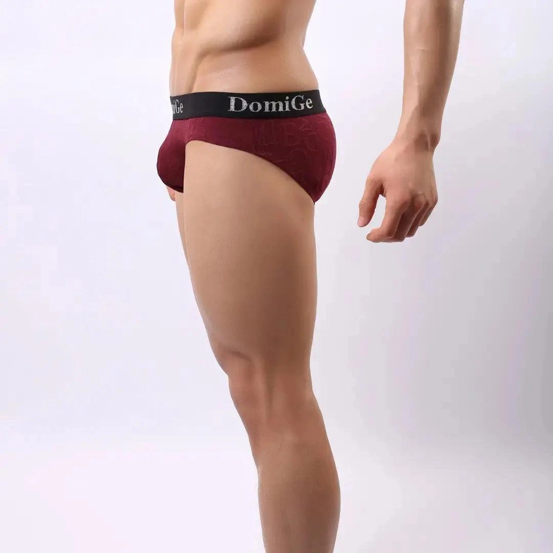 DomiGe Men's Bamboo Briefs Comfort Logo Waistband Male Underwear
