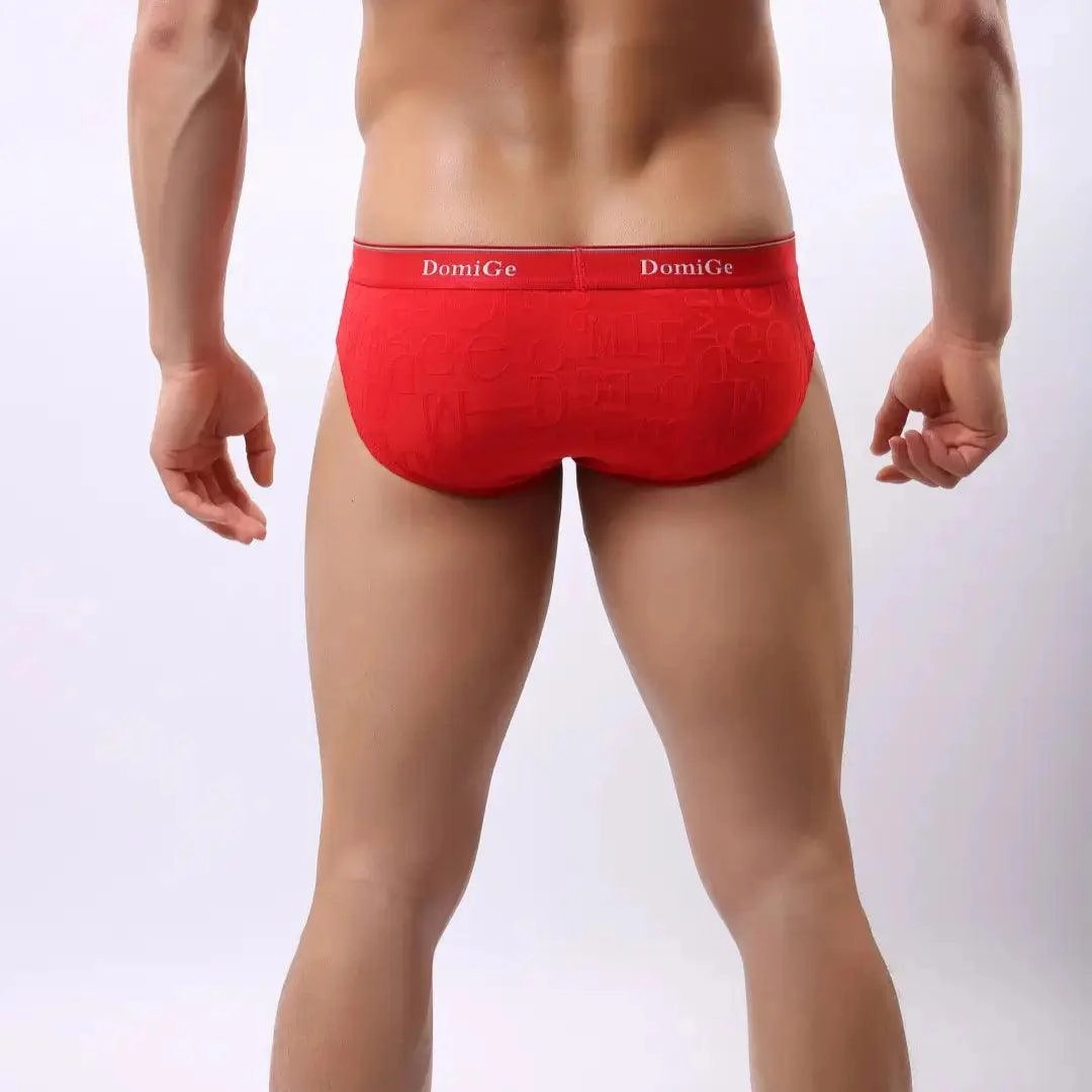 DomiGe Men's Bamboo Briefs Comfort Logo Waistband Male Underwear