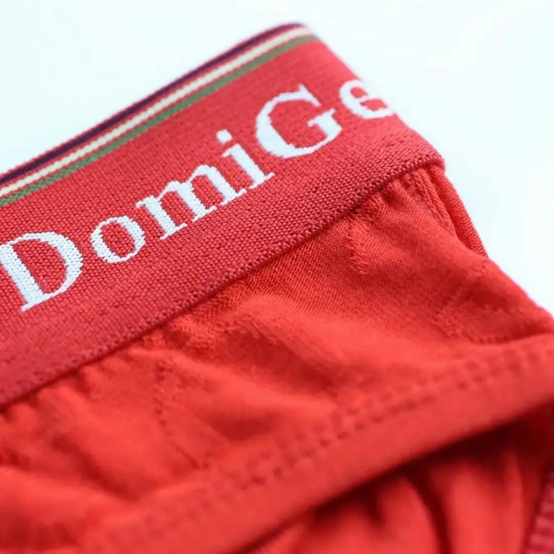 DomiGe Men's Bamboo Briefs Comfort Logo Waistband Male Underwear