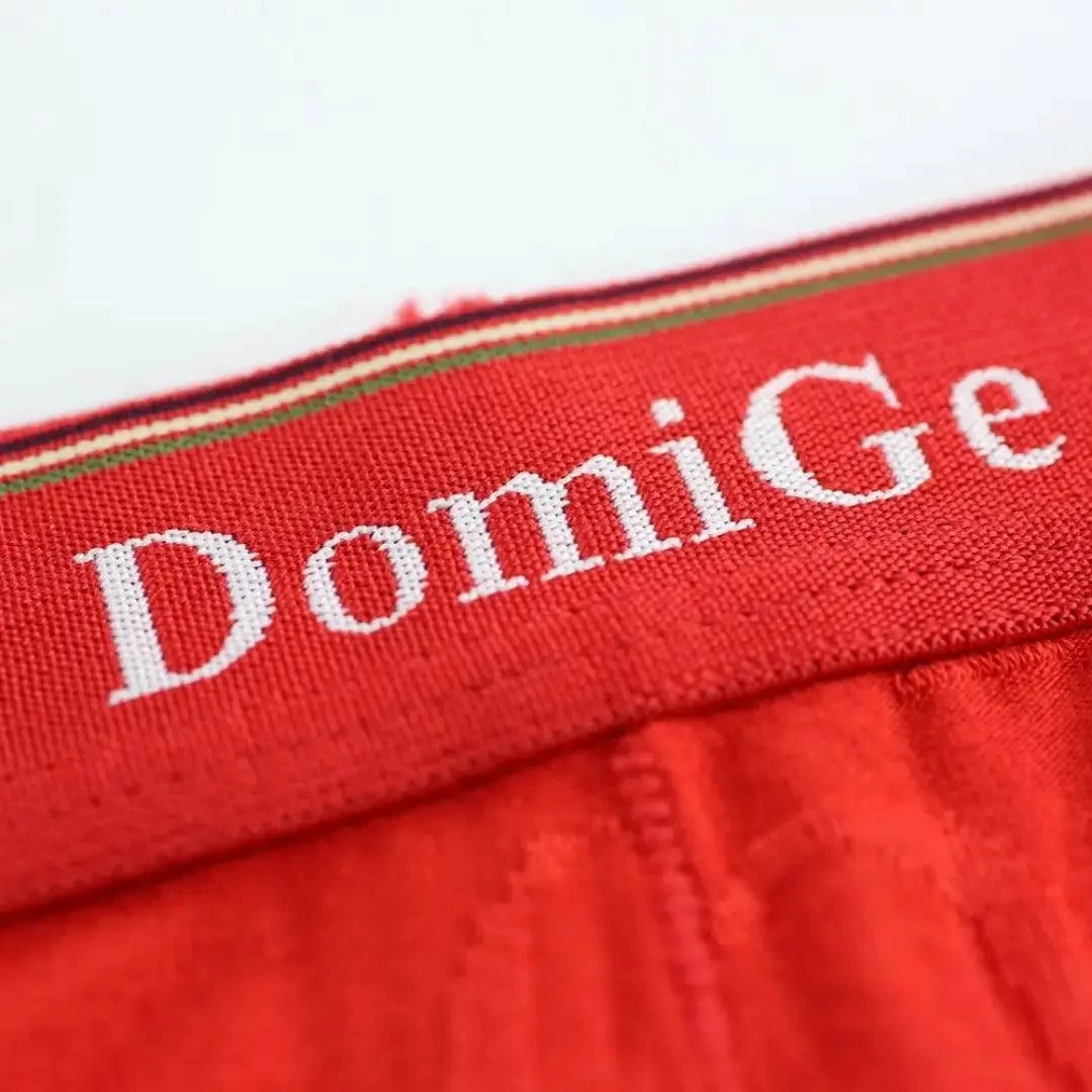 DomiGe Men's Bamboo Briefs Comfort Logo Waistband Male Underwear