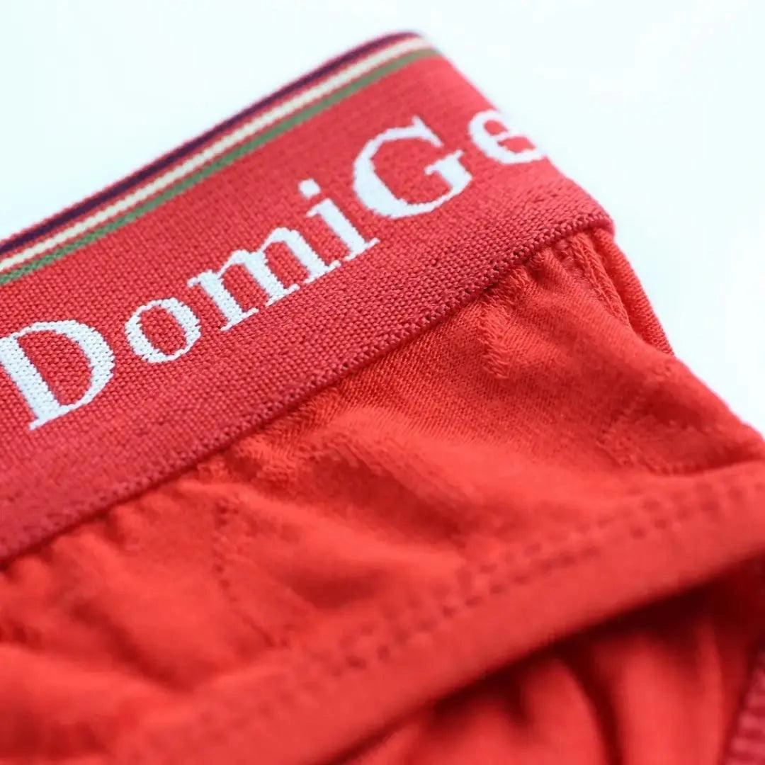 DomiGe Men's Bamboo Briefs Comfort Logo Waistband Male Underwear