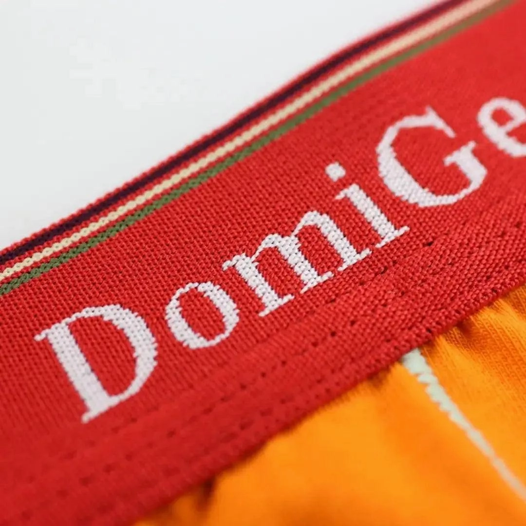 DomiGe Men's Boxer Briefs Ice Silk Blend Male Trunks