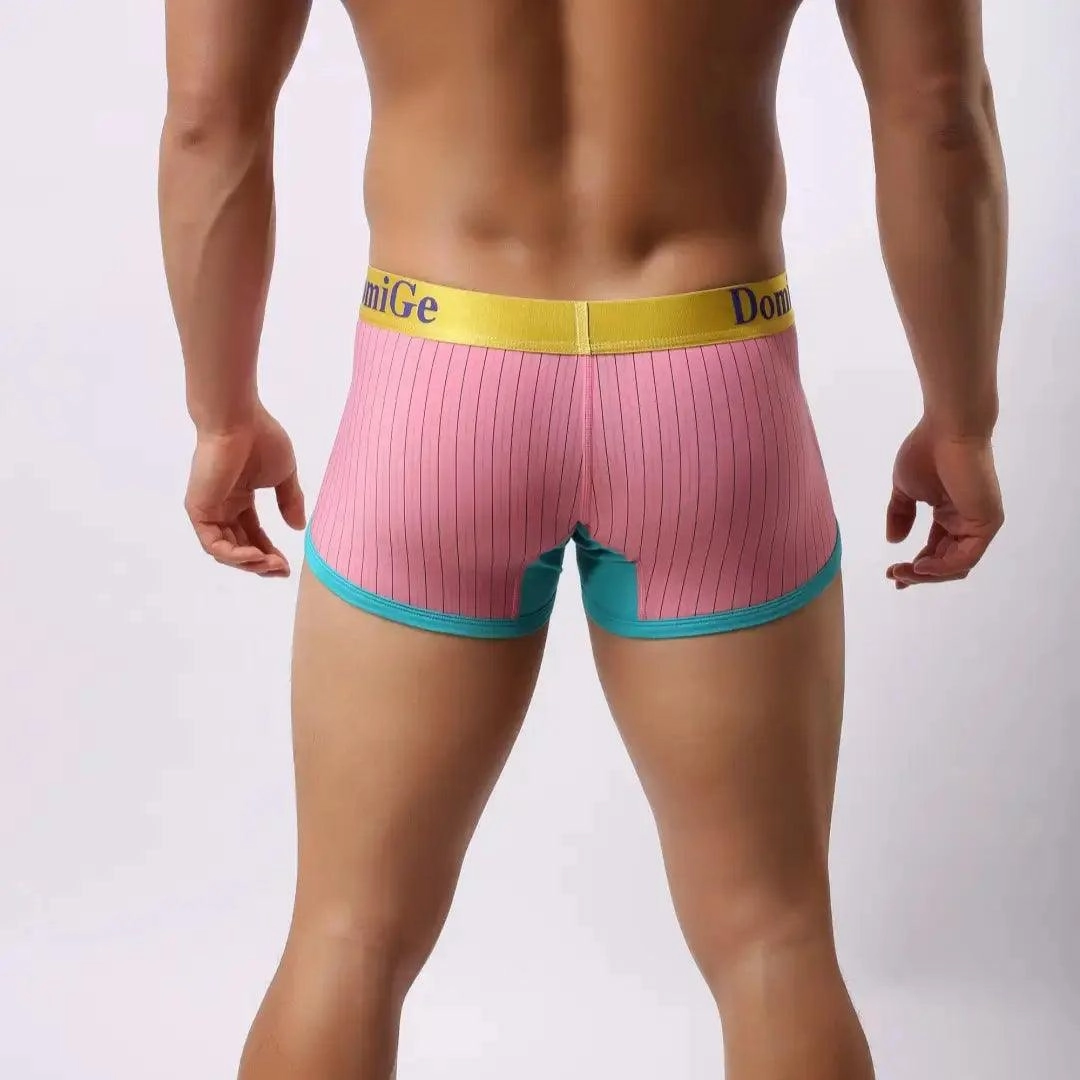 DomiGe Men's Boxer Briefs Ice Silk Blend Male Trunks