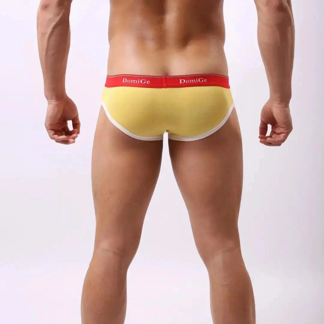 DomiGe Men's Low-Rise Modal Briefs with U-Pouch