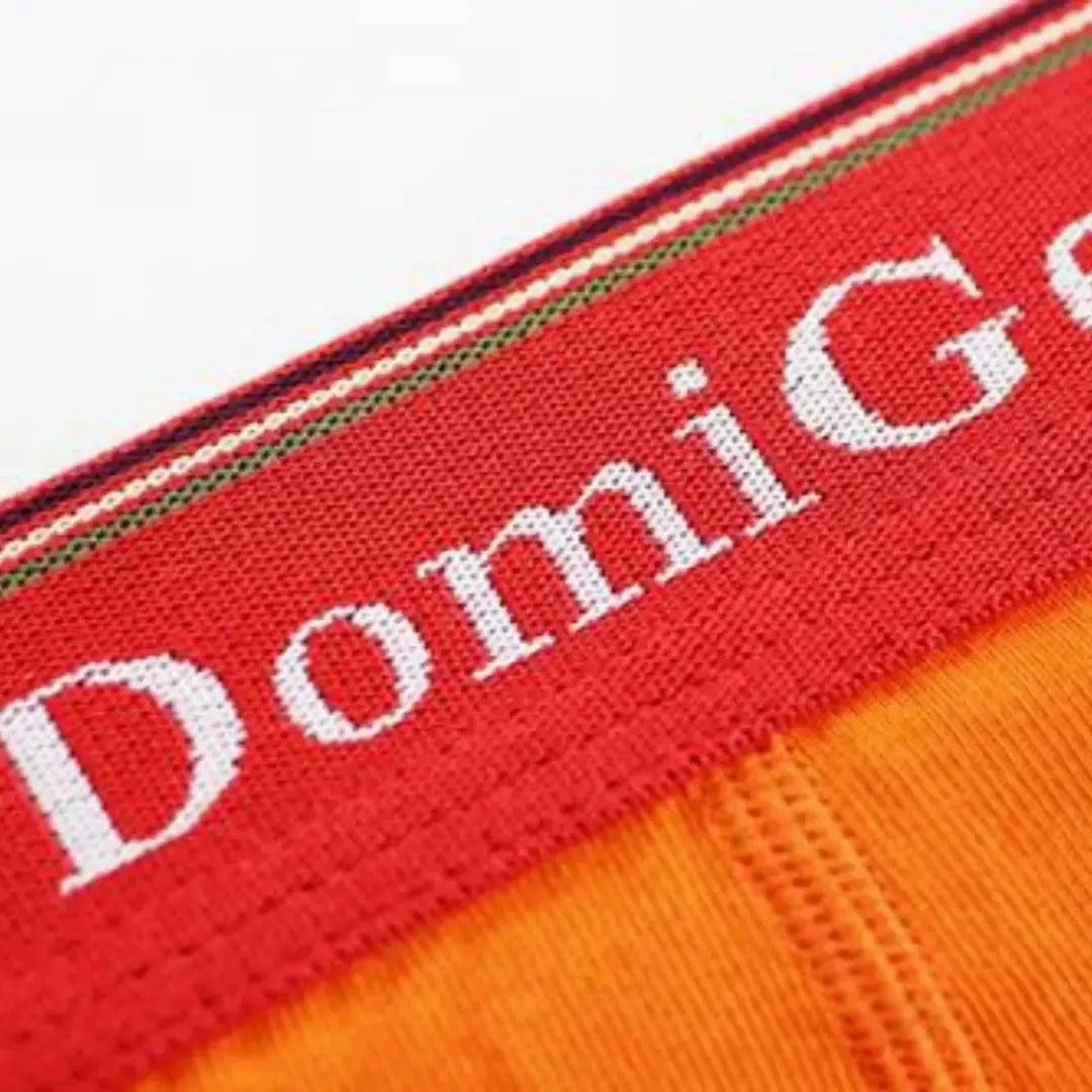 DomiGe Men's Low-Rise Modal Briefs with U-Pouch