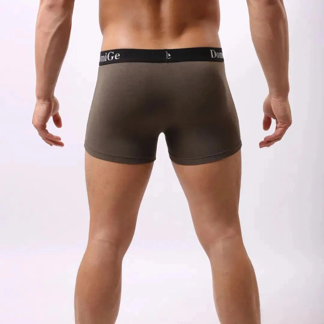 DomiGe Men's Mid-Rise Modal Boxers with Silver Logo Waistband