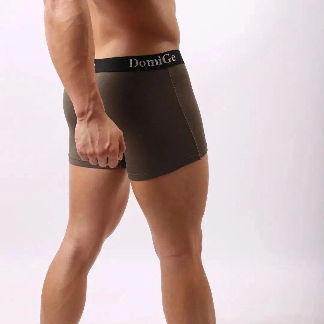 DomiGe Men's Mid-Rise Modal Boxers with Silver Logo Waistband