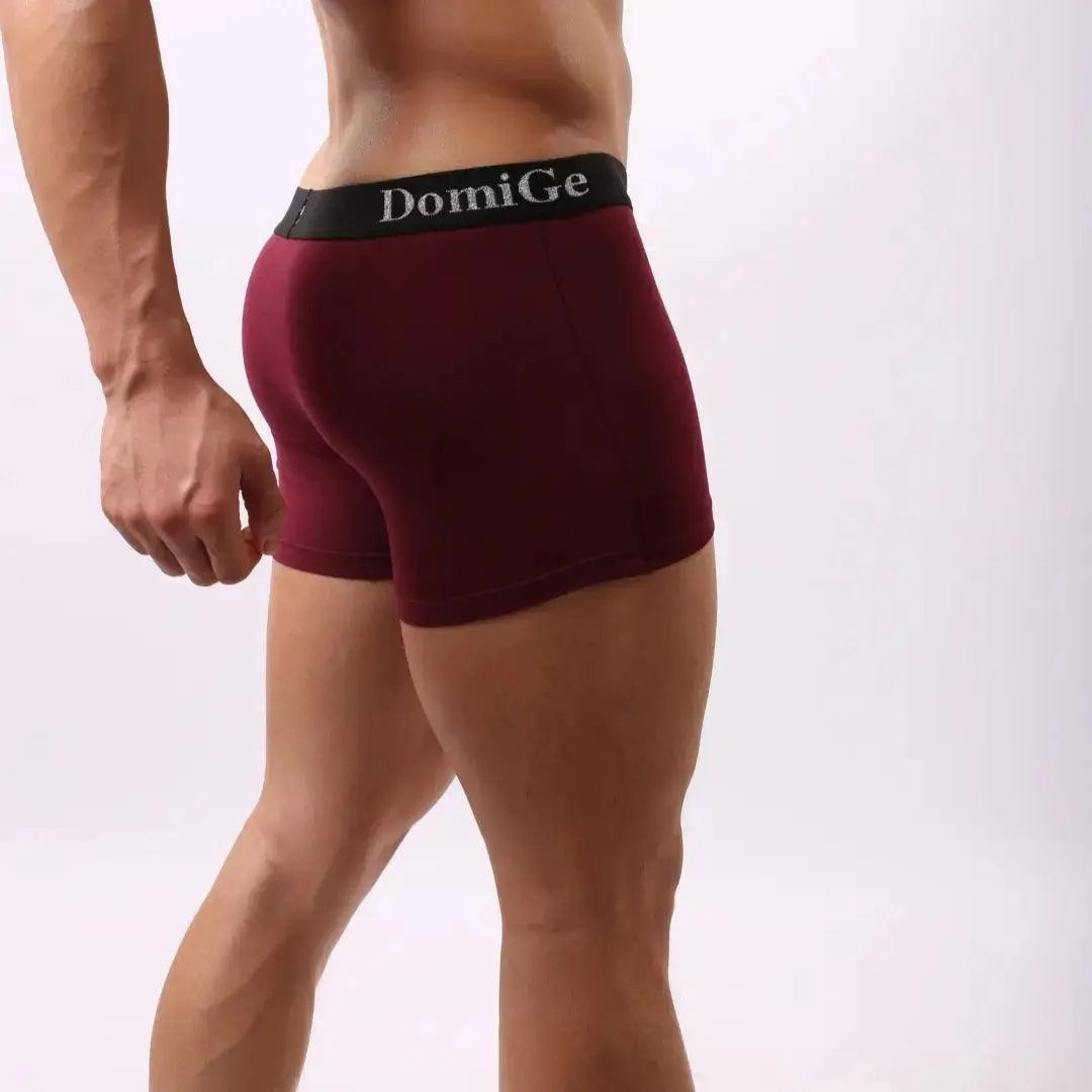 DomiGe Men's Mid-Rise Modal Boxers with Silver Logo Waistband