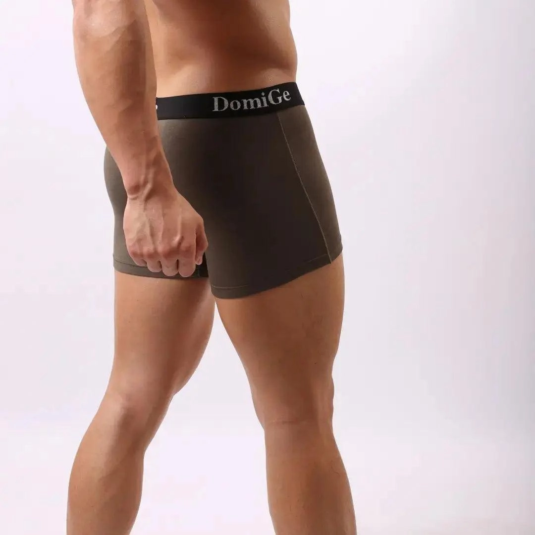 DomiGe Men's Mid-Rise Modal Boxers with Silver Logo Waistband