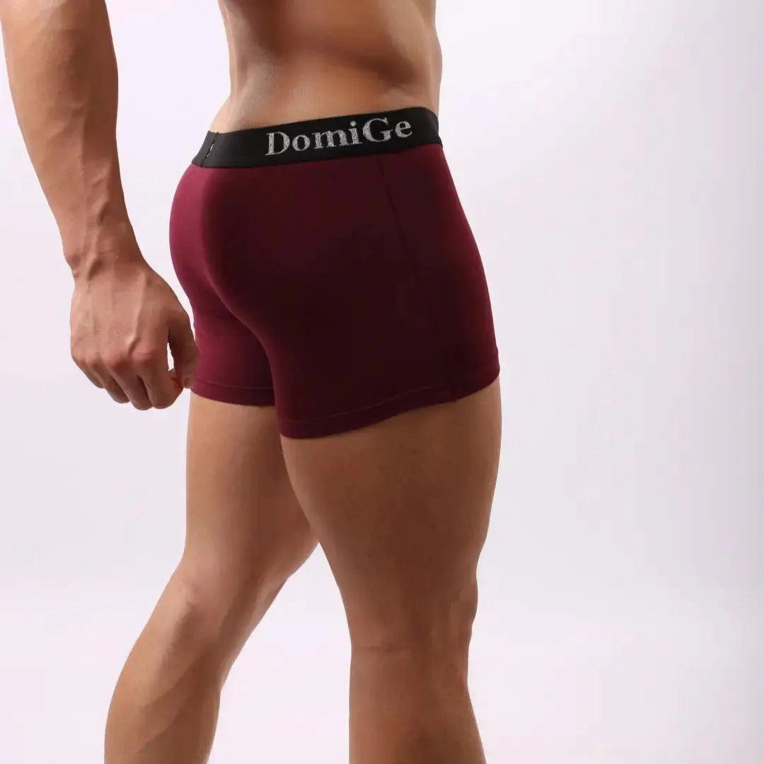 DomiGe Men's Mid-Rise Modal Boxers with Silver Logo Waistband
