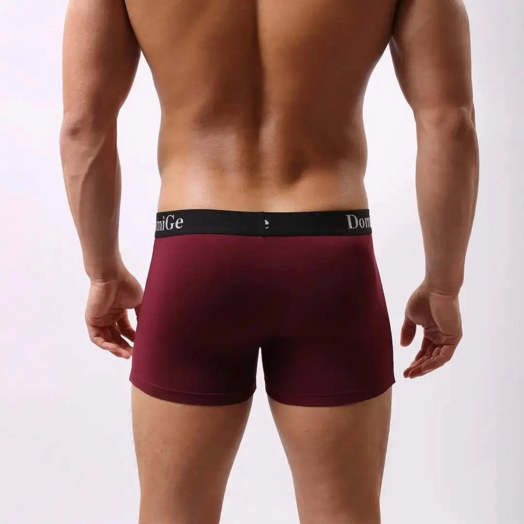 DomiGe Men's Mid-Rise Modal Boxers with Silver Logo Waistband