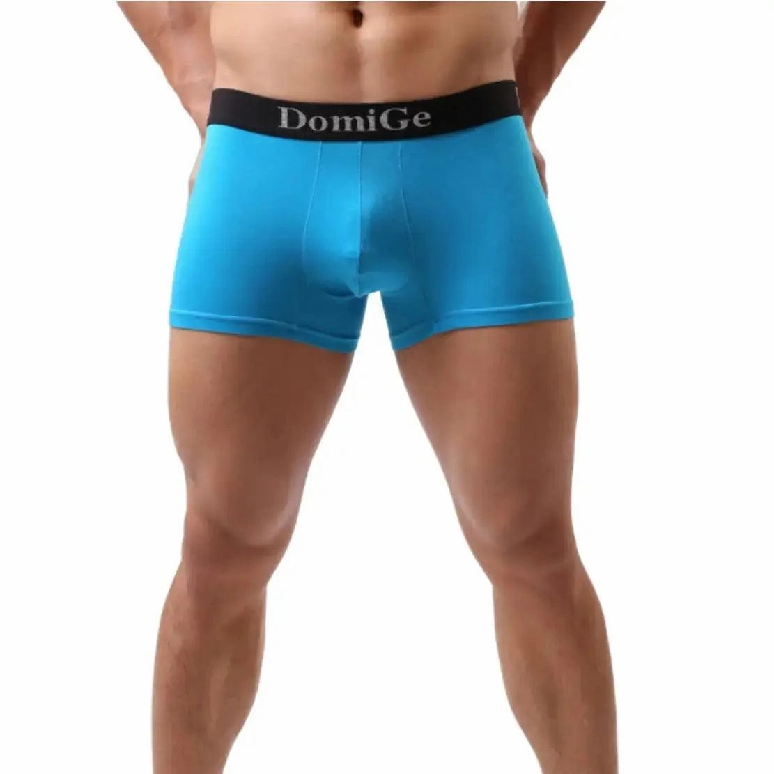 DomiGe Men's Mid-Waist Modal Boxer Briefs Seamless Male Underwear