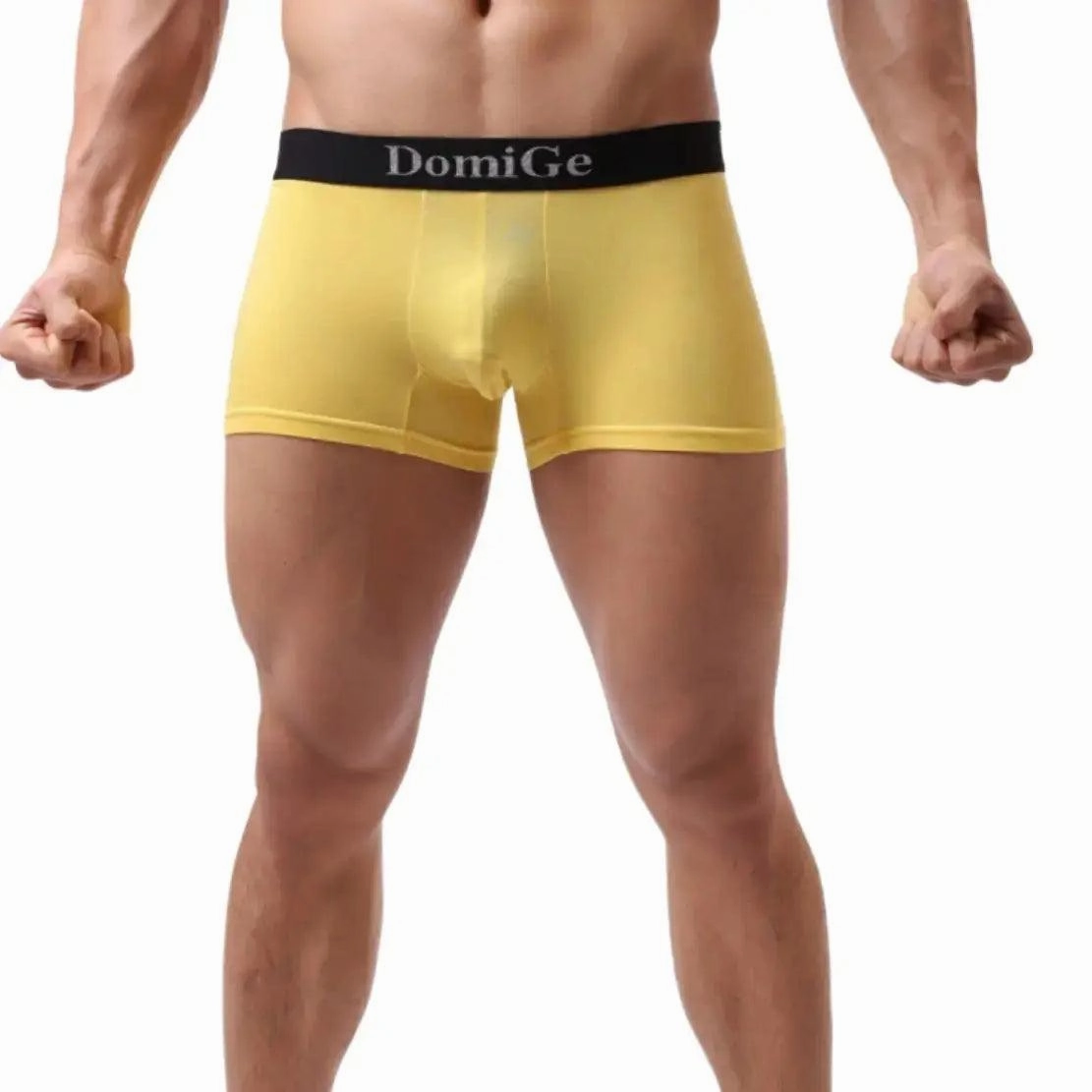 DomiGe Men's Mid-Waist Modal Boxer Briefs Seamless Male Underwear
