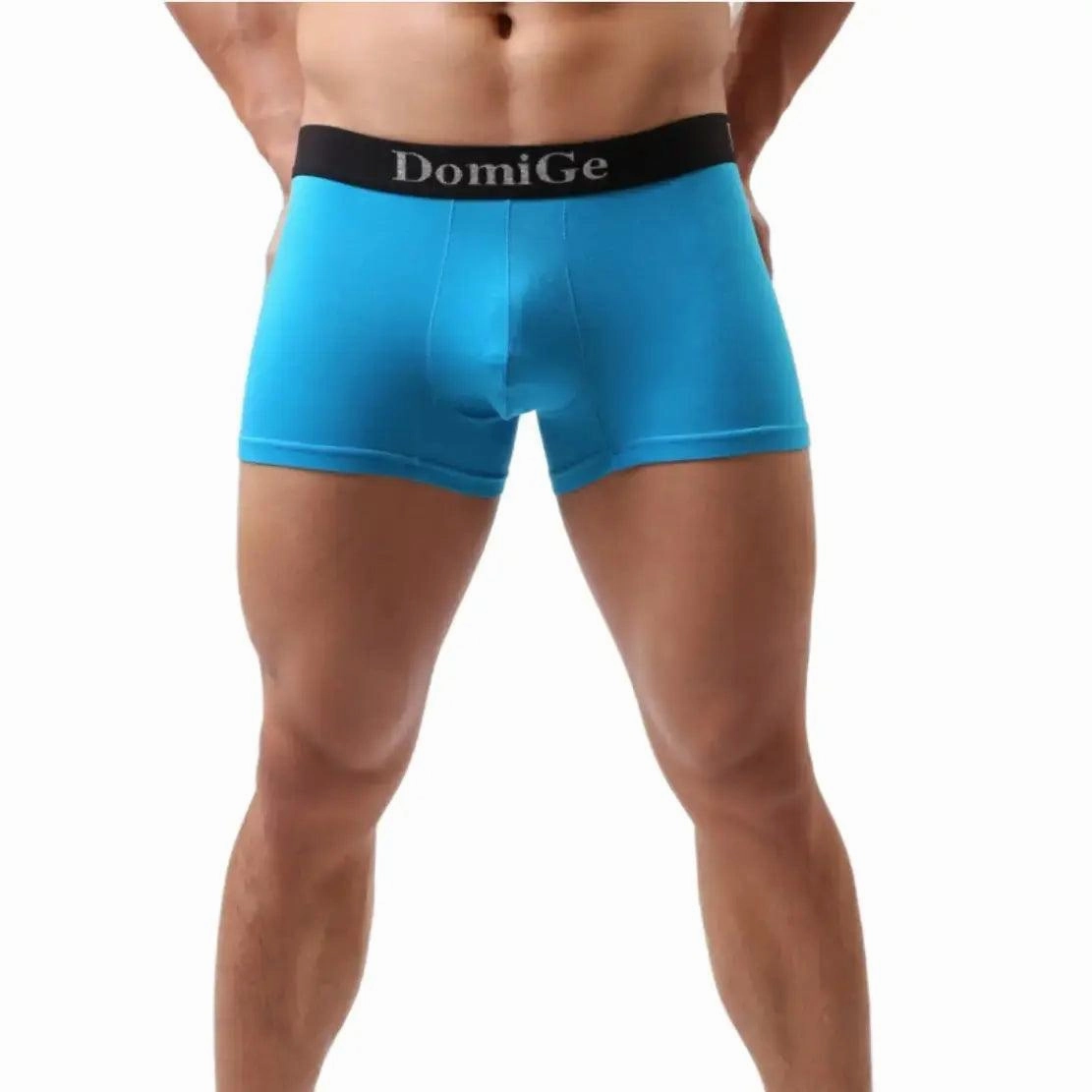 DomiGe Men's Mid-Waist Modal Boxer Briefs Seamless Male Underwear