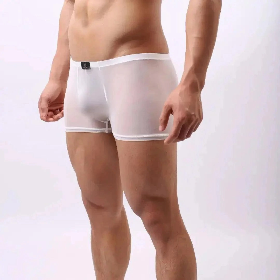 DomiGe Men's Sheer Mesh Boxer Shorts - Breathable & Sexy Male Underwear