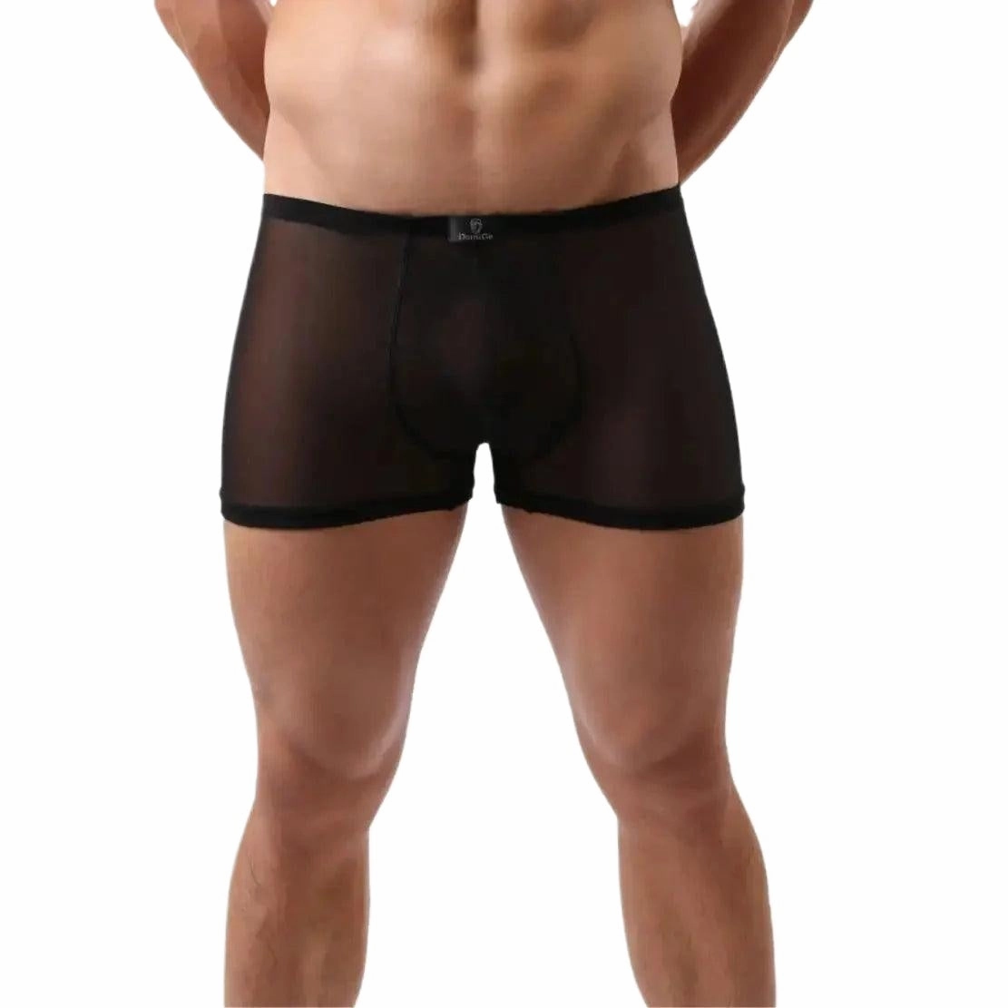 DomiGe Men's Sheer Mesh Boxer Shorts - Breathable & Sexy Male Underwear