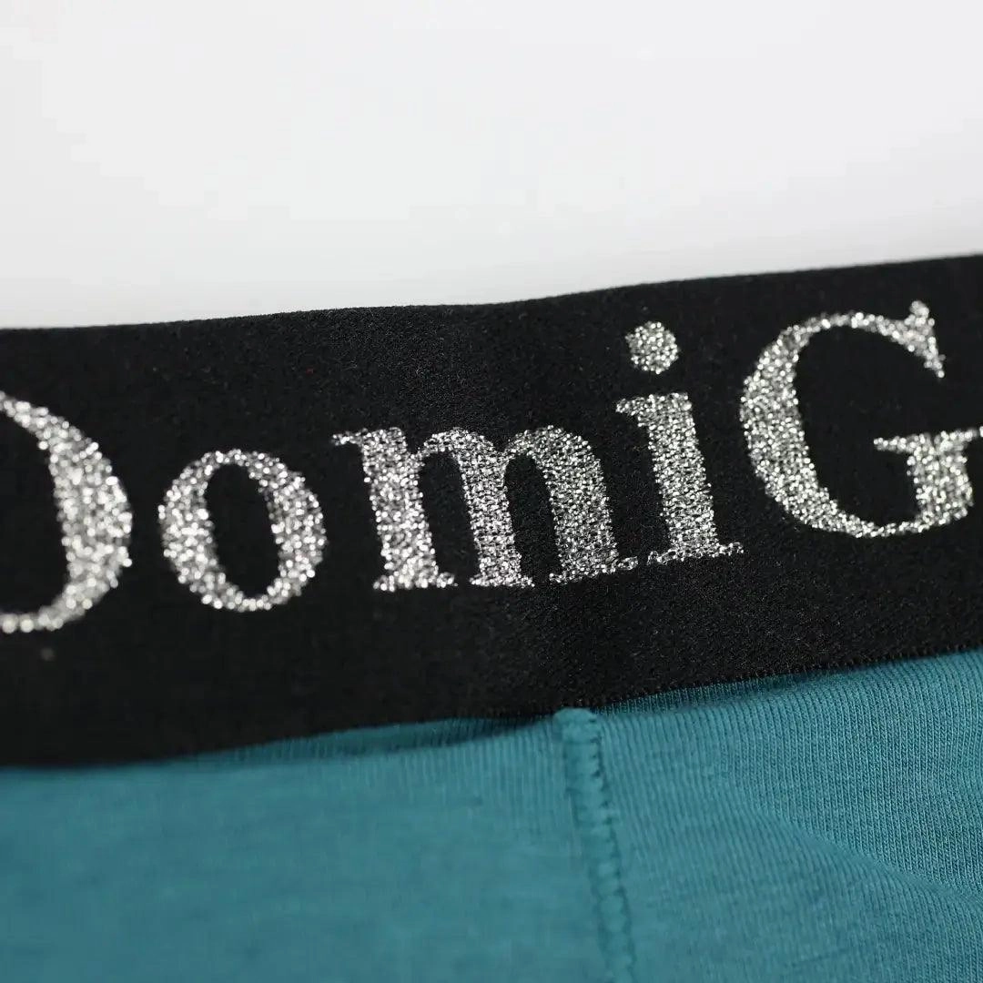 DomiGe Men's T-Back Thong Adjustable Waistband Logo Male Underwear