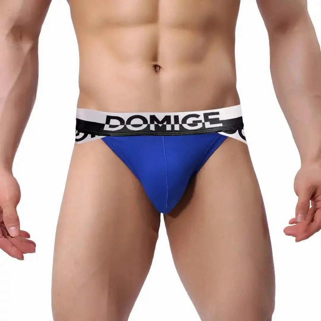 DomiGe Men's Underwear Briefs with Silver Logo Waistband Briefs