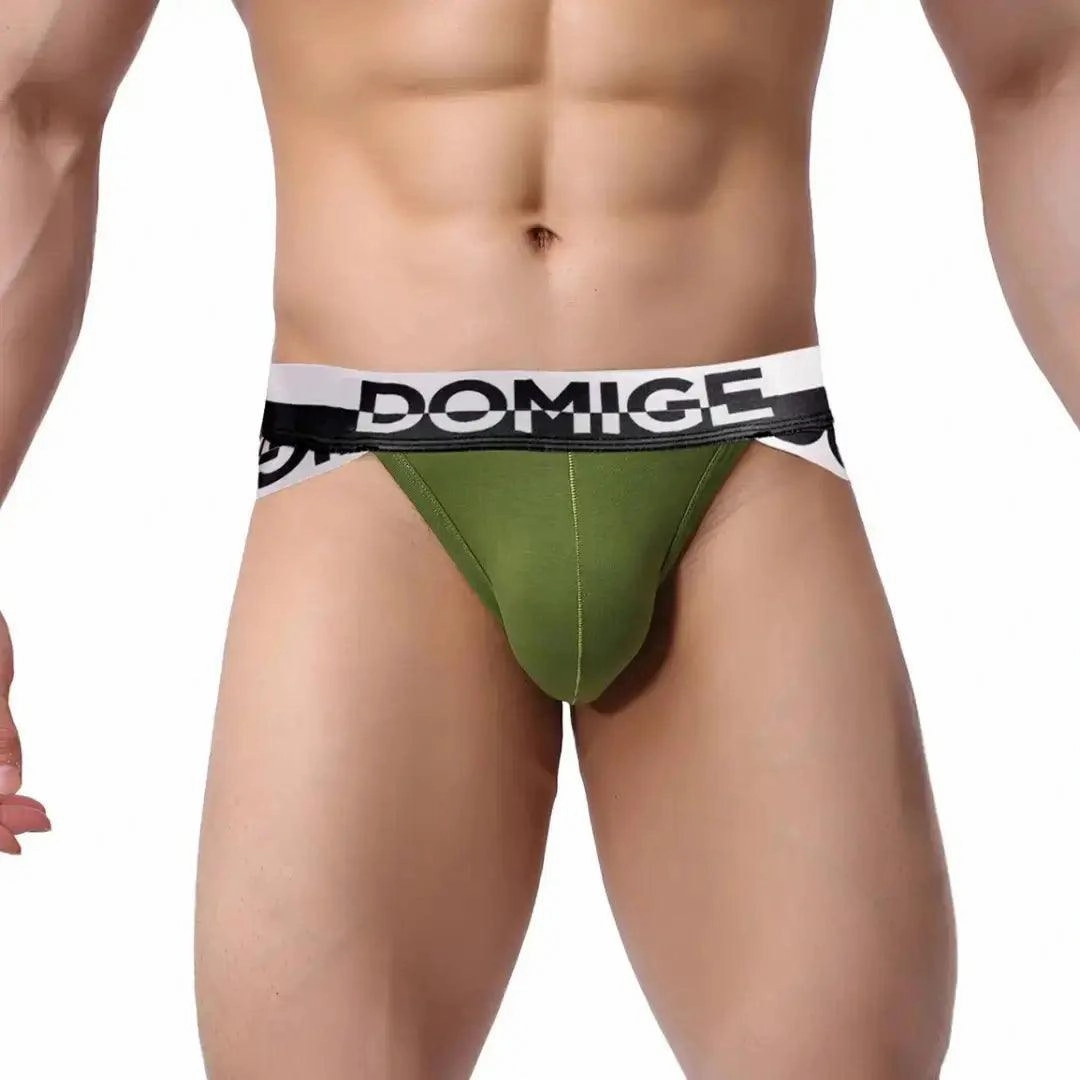 DomiGe Men's Underwear Briefs with Silver Logo Waistband Briefs
