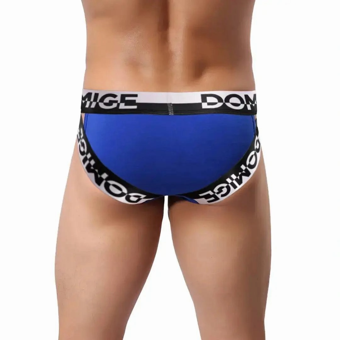 DomiGe Men's Underwear Briefs with Silver Logo Waistband Briefs