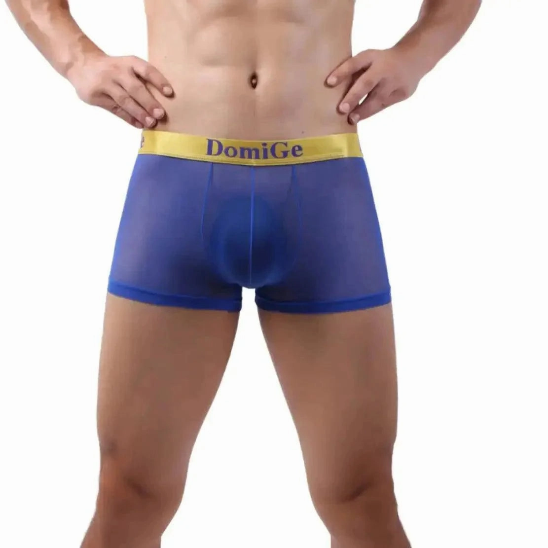 DomiGe Sheer Men's Low Rise See-Through Mesh Boxer Shorts