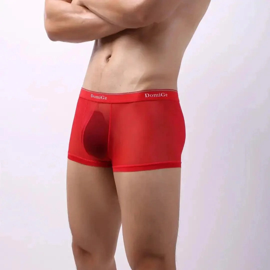 DomiGe Sheer Men's Low Rise See-Through Mesh Boxer Shorts