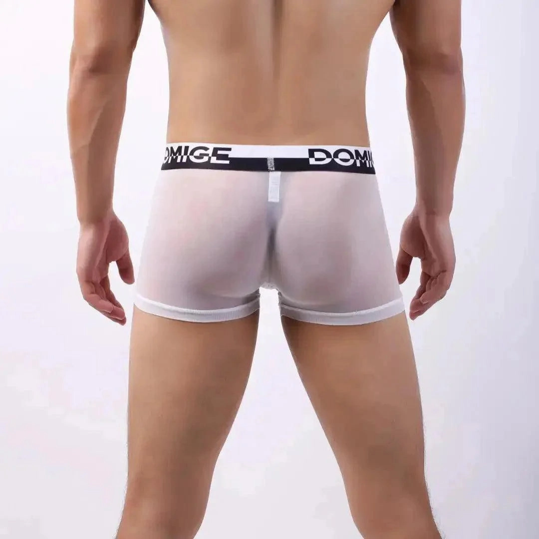 DomiGe Sheer Men's Low Rise See-Through Mesh Boxer Shorts