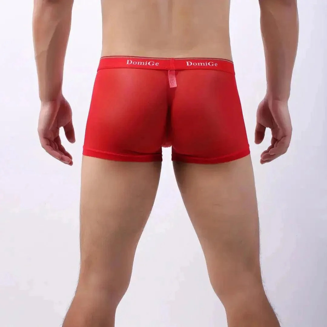 DomiGe Sheer Men's Low Rise See-Through Mesh Boxer Shorts