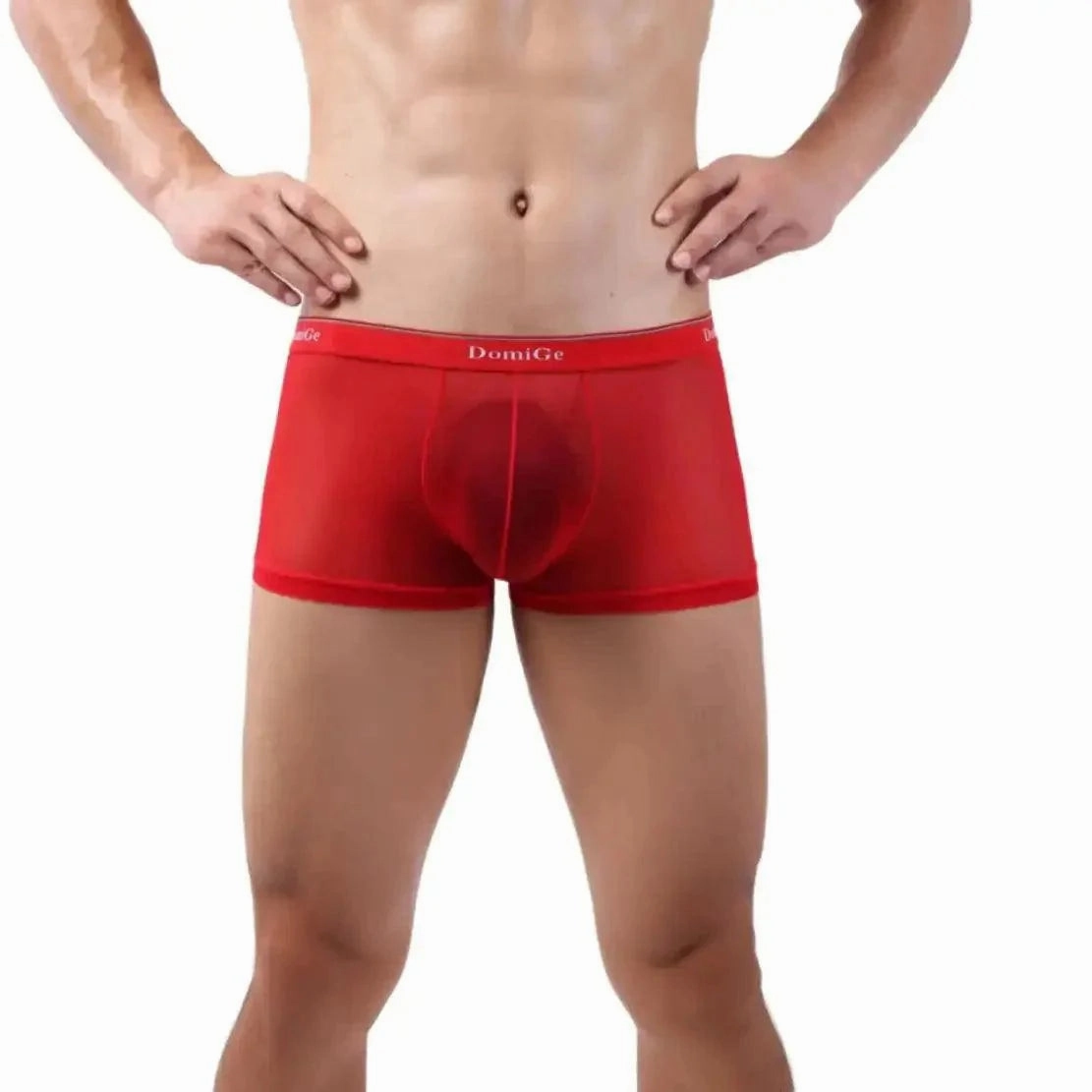 DomiGe Sheer Men's Low Rise See-Through Mesh Boxer Shorts