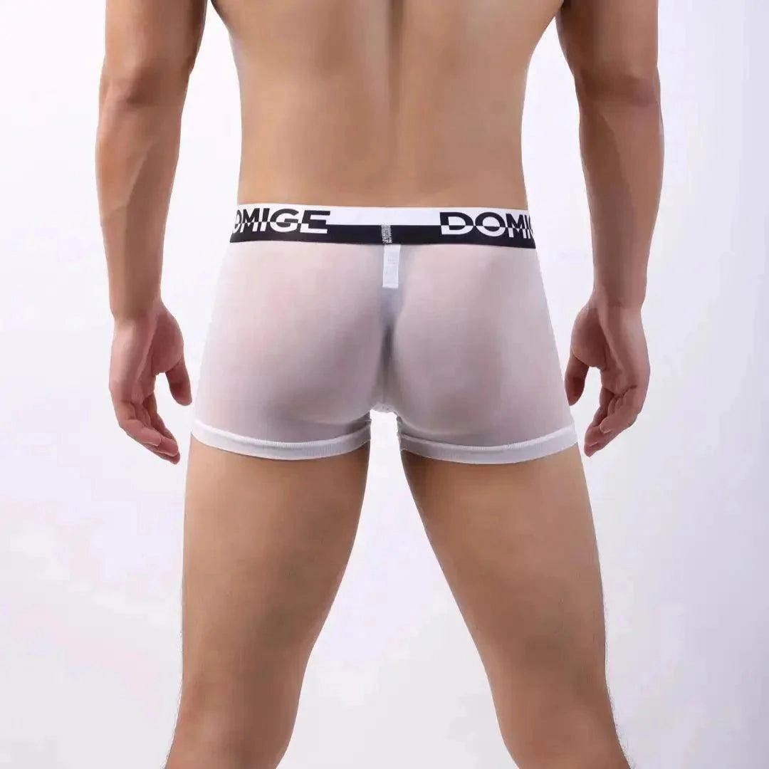 DomiGe Sheer Men's Low Rise See-Through Mesh Boxer Shorts
