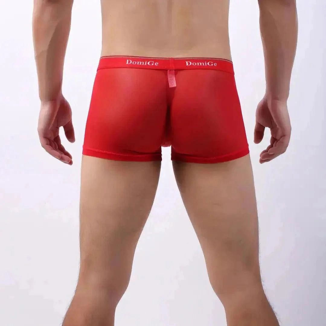DomiGe Sheer Men's Low Rise See-Through Mesh Boxer Shorts