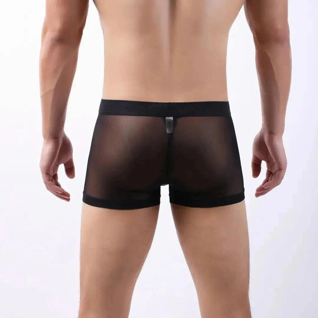 DomiGe Sheer Men's Low Rise See-Through Mesh Boxer Shorts