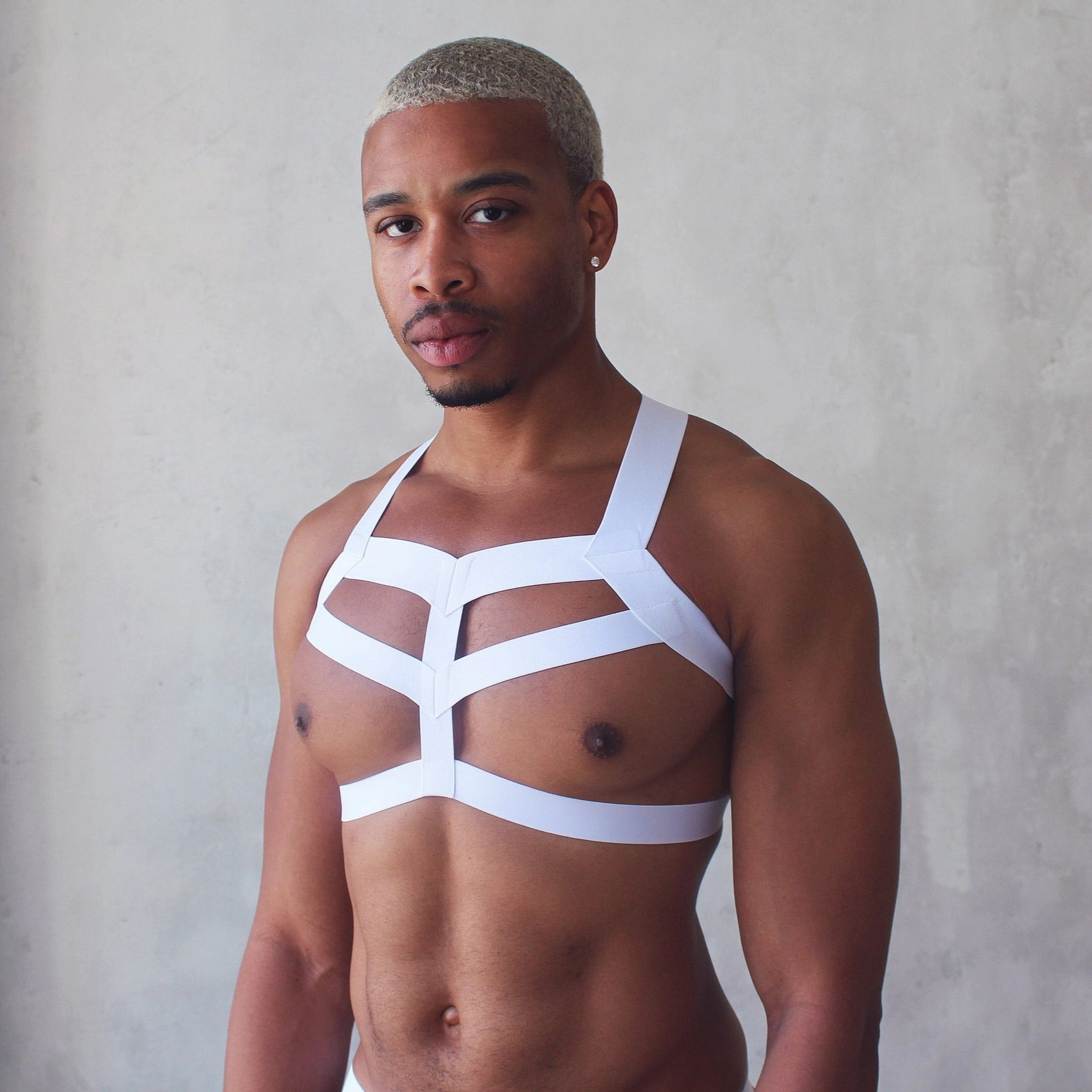 Elastic Chest Harness   Jockstrap