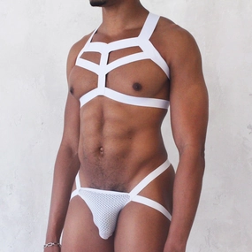 Elastic Chest Harness   Jockstrap