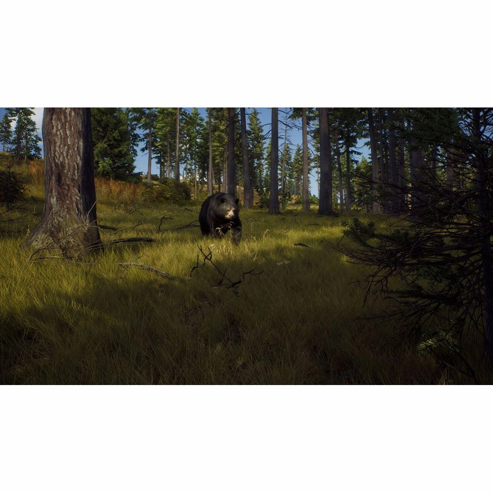 THQ Nordic Way of The Hunter (Xbox Series X)