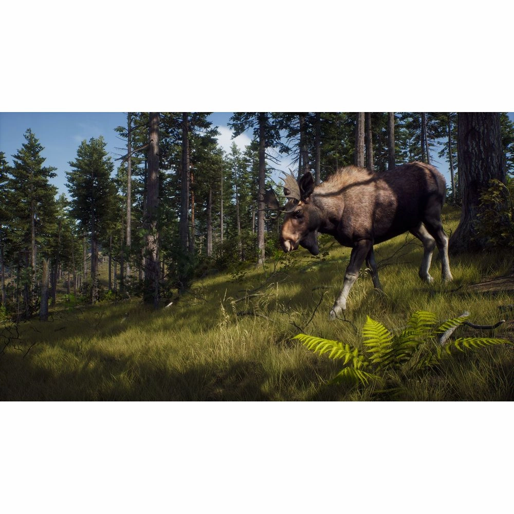 THQ Nordic Way of The Hunter (Xbox Series X)