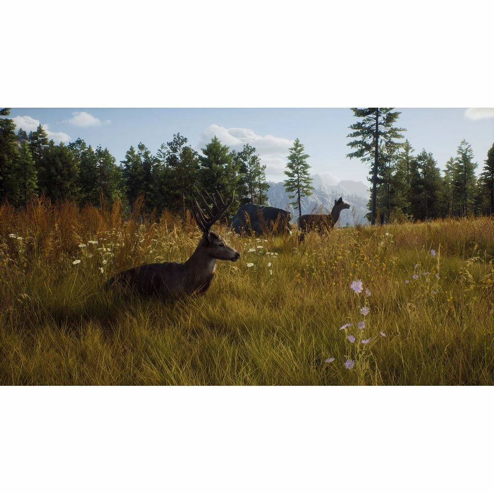 THQ Nordic Way of The Hunter (Xbox Series X)